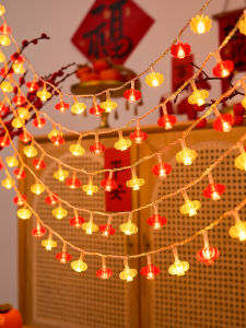 BEAUTY IN THE LIGHT | Festive Decorative Lantern