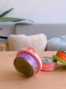 Pet Silicone Can Lids: Keep Fresh Food Storage & Reusable Solutions