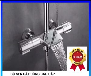 Sen cây chỉnh nhiệt đồng mạ crom sáng bóng
