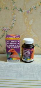 Slasher Tablet Vitamin and Mineral (100 tablet
