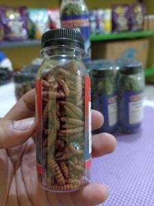 Maggot Kering Crystal Premium 40gr / pakan Ikan Predator dan lainnya