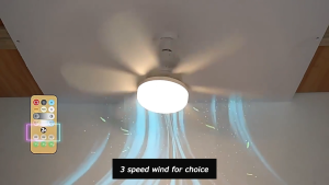Ceiling Fan Light with Remote Control E27 - 6 Detachable Blades 3 Color Temperatures & 3 Fan Speeds 30W LED Big Size 52cm Heavy Duty for Living Room Bedroom (Easy Wall Switch Control)