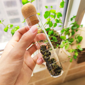 Lototo Glass Tea Strainer Tube Tea Leaf Filtering Tool for Brewing And Drinking Tea Essential Accessory for Tea Set