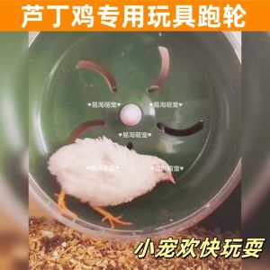Silent Running Wheel Toy for Chickens Rabbit Cage Pet Supplies Gold Retriever Running Machine Wheel New Model Noise Reduction