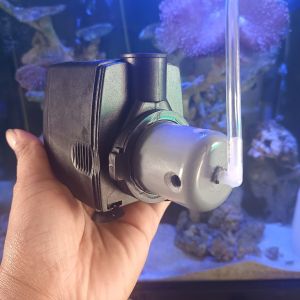 Pompa modifikasi protein skimmer aquarium laut kaps 2000lph