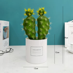 Artificial Green Plant Ins Cactus Succulent Small Pot Plant Office Desk Surface Panel Furnishings & Decoration Fake Flower Living Room Decoration