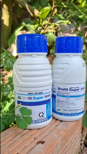 [TRUNG THIEN THINH] Thuốc trừ bệnh rỉ sắt thán thư khô vằn lem lép hạt BRETIL SUPER 300EC chai 240ml