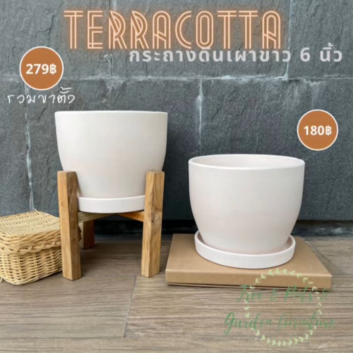 กระถางดินขาวมินิมอล 6 นิ้ว เนื้อเนียน มีจานรอง