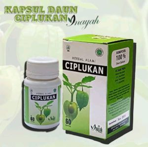 Ciplukan Inayah isi 60 kapsul