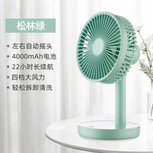 Large Wind Power Brushless USB Rechargeable Fan Silent Office Desktop Oscillating Student Dormitory Gift Portable Fan