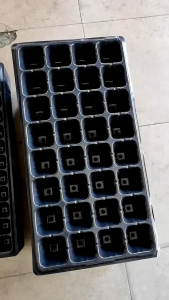 (20/50PCS) Plastic Seedling Tray 21/32/50/72/105/128/200 Holes Garden Starter Tray Seed Germination