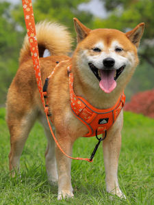 FENGCAO | Anti-escape Vest-style Adjustable Dog Harness Leash