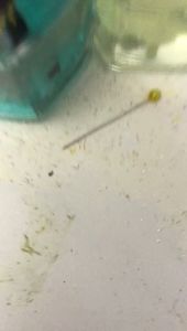 Kebaya Kartini Remaja/Kebaya Modern/Kebaya Wisuda Remaja/Kebaya Kartini Floy