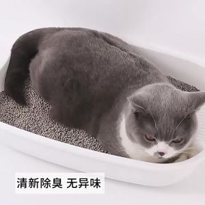PASIR KUCING GUMPAL WANGI -SEWANGI 6 LITER