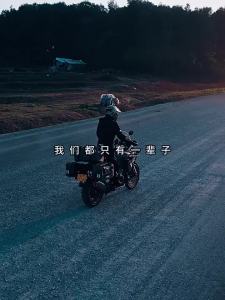 MOTOWOLF | Waterproof Large Capacity Motorcycle Luggage Bag