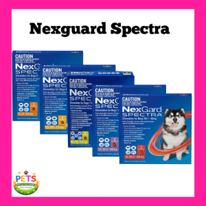 NEXGARD SPECTRA FOR DOG