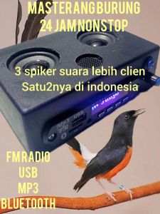 Masteran Burung 24 jam nonstop 3spiker satu2nya di indonesia GARANSI 6 BULAN