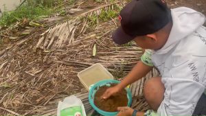 Cám chuyên tra KF 1kg Khánh fishing