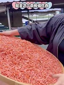 No Salt Added Deep Sea Krill Dry Shrimp Meat