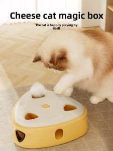 MOLLYBOX | Interactive Entertaining Cat Toy