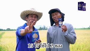 4TREE 1 ซอง 4TREE โฟร์ทรีของแท้ คู่หูนาปี คู่ซีนาปรัง สารเสริมประสิทธิภาพบำรุงพืชพรรณทุกชนิด ช่วยปรับสภาพดิน ทำให้พืชเติบโตเร็ว 4TREE