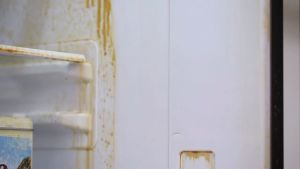 Dung dịch vệ sinh tủ lạnh Votemm Miracle Cleaner (600ml) vệ sinh tủ lạnh tủ đông hiệu quả an toàn