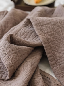 Soft Pure Cotton Flannel Blanket Double Layer Lightweight Summer Cooling Soft Color Solid Modern Minimalist Style Bedding
