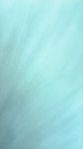 KIKIR KAYU SETENGAH BULAT 6 8 10 12 INCH PAHAT RASP GERIGI HANDLE KARET KENTARO JAPAN QUALITY