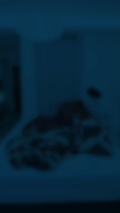 California - Sprei RUMBAI Queen (160x200) Terlaris pilihan