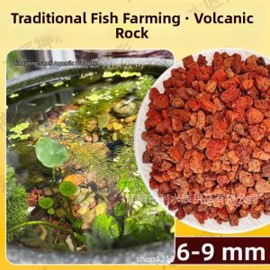 ZHENMIAO | Natural Basalt Pebbles for Aquariums