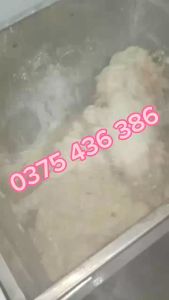 Máy trộn bột công nghiệp trộn bột làm bánh 5-8kg/lần