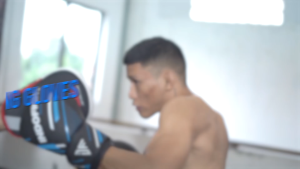 Sarung Tinju Boxing Indofight Gloves Muaythai Sarung Tangan Muay Thai Glove Kickboxing Dewasa elt