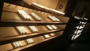 G9 Bóng Đèn LED 3W 220V Trắng Ấm 2835 Chip Đèn Thay Thế Cho 20W Đèn Halogen 1/5 Chiếc Đèn Chùm Ánh Sáng Cho Phòng Khách
