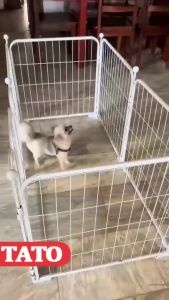 Dog Fence Dog Playpen Pet Fence Pet Playpen Dog Kennel Cats Rabbit Animals Pen Fence Dog Cage High Quality Stackable DIY