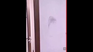 OHHDEER  300g Krim Pembersih Dinding Serbaguna Hilangkan Kotoran | Multi-Purpose Wall Cleaning Cream