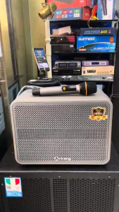 (Màu ngẫu nhiên) Loa di động Arirang AM3 tặng kèm 2 micro.