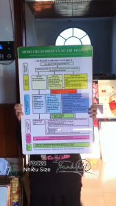 Tranh phòng khám y khoa y tế trang trí Tranh Y khoa sơ đồ chuẩn đoán và xử lí phản vệ tráng gương treo tường YQC22