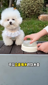 Large capacity pet outdoor water bottle dog ton water bottle cat water dispenser portable water cup water and food integrated bowl new in stock