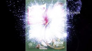 ROYCO BUMBU KALDU JAMUR SPESIAL 40GR ROYCO PENYEDAP RASA KALDU JAMUR PACK 40 GRAM