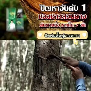 ฮอร์โมนพืช เร่งผลผลิต เร่งใบ/ต้น/ดอก เร่งน้ำยาง พิเศษ บำรุงดิน และโดสพลัส บำรุงดิน เติมพลังราก เพื่อป้องกันเชื้อรา และเลือกใบสุขภาพ ผลสร้างด้วยผู้ผลิตที่มีความชำนาญ