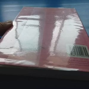 ซาตานหัวใจหิน ผู้เขียน: baiboau