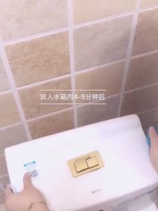 ลูกบอลทำความสะอาดห้องน้ำ 10เม็ด บล็อกสมบัติ น้ำยาล้างห้องน้ำ กลิ่นชักโครก ฆ่าเชื้อ สไตล์การใช้งาน: กรุงเทพ - ราคาที่ลูกค้าสมบัติของคุณ 125-170 บาท