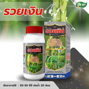 ข้าวรวยเงิน เร่งแตกกอ กอเขียว ใบแข็ง ต้นสมบูรณ์ ข้าวแตกกอใหญ่ อะมิโน ฮอร์โมนบำรุงข้าว ปุ๋ยยา 1 ลิตร