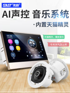 SAST X7 Smart AI Ceiling Speaker Home Cinema Background Music HiFi Sound System Bluetooth 5.3 Wireless Speaker Set for Living Room