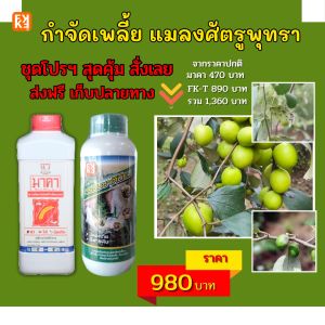 ผลิตภัณฑ์กำจัดเพลียนรายละเอียด แมลงจำพวกปากดูด ใน พูด และพืช เป็นสารชีวภาพปลอดภัย ปลอดสารพิษ และมีค่าใช้จ่ายและ FK-T สามารถใช้ได้ทุกพืช