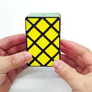 Ancient Double 3x3x3 Fisher Speed Cube & Yileng Magic Cube Skewb Puzzle