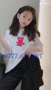 Áo thun bé gái quảng châu cho bé gái 12 tuổi thun cotton HEBI KIDS
