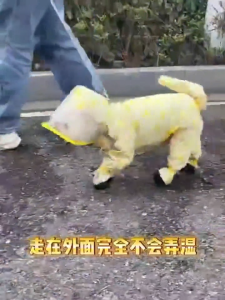 Waterproof Dog Raincoat Full‑Body Coverage for Small Dogs Bichon Anti‑Dirty Pet Clothes for Outdoor Walking in Rain