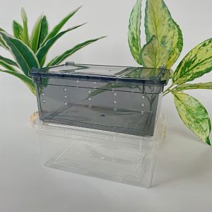 Hộp nuôi Bò sát có nắp. Bể nuôi Nhện Bò cạp Rùa cạn Chuột Ếch Rắn Lưỡng cư Côn trùng LG...