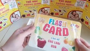 Flashcard - Thẻ học thông minh 16 chủ đề 256 thẻ loại lớn 12x16cm